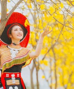 Công dụng của cây phong linh