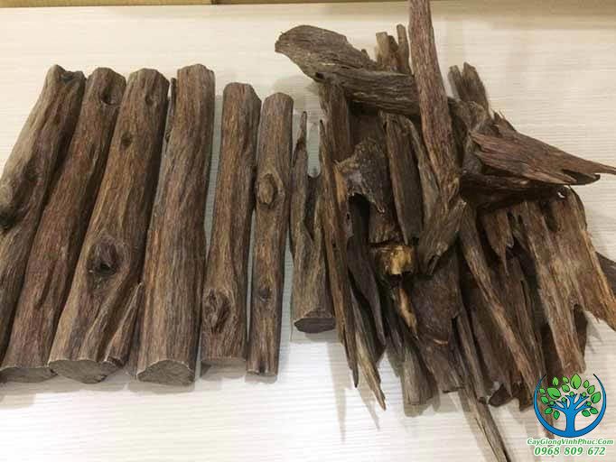 Ứng dụng gỗ trầm hương